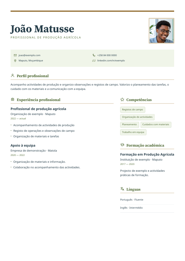 Exemplo Terra · Direcção: Tipografia serifada, regra dourada e percurso em duas colunas.